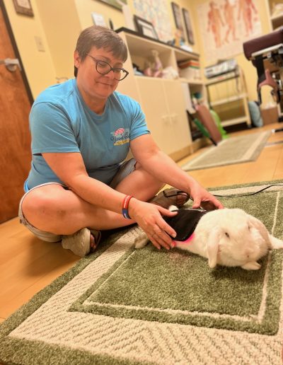 Tracy Edelmann, DC, Chiropractor, Clayton MO. Adjusting a pet rabbit